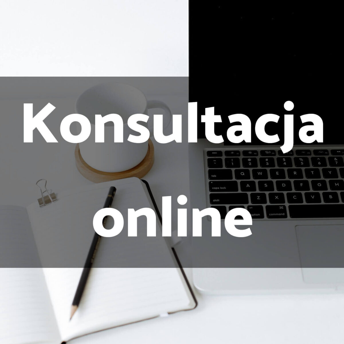 DropStart.pl 1 godzina konsultacji w zakresie wyboru produktów do sklepu